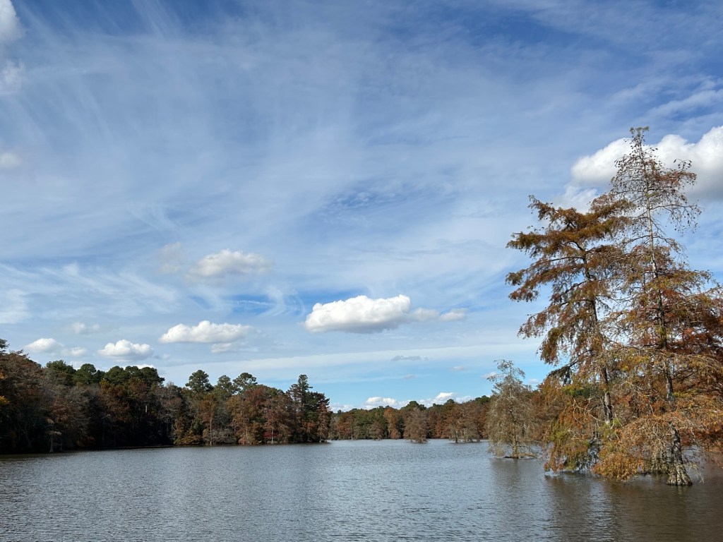 Trap Pond State Park